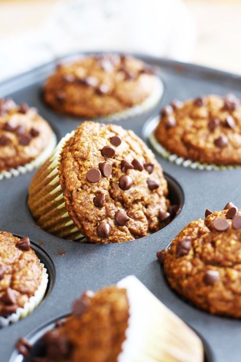 Clean Eating Pumpkin Muffins, Pumpkin Banana Muffins, Gluten Free Pumpkin Muffins, Blender Muffins, Fall Goodies, Pumpkin Muffin Recipes, Pumpkin Banana, Banana Chocolate Chip Muffins, Banana Chocolate