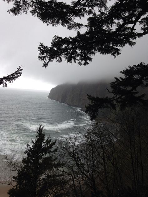 Foggy forest side and a beach Nature, Ocean Forest Aesthetic, Beach With Forest, Forest Ocean Aesthetic, Foggy Rocky Beach, Foggy Coast Aesthetic, Forest And Beach Aesthetic, Forest And Sea Aesthetic, Forest Beach Aesthetic