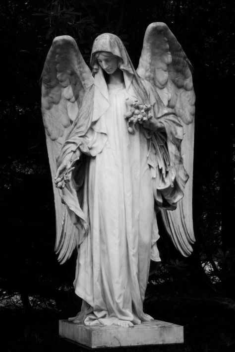 Angel Cemetery Statues, Angel Sculpture Statues, Angle Sculpture, Angle Statue, Angels Sculpture, Angel Sculpture Art, 천사와 악마, Angel Statues Sculpture, Cemetery Angels