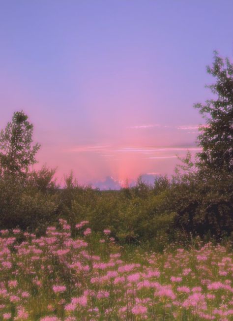 #aesthetic #sunset #flower #nature #edit #cottagecore Pretty Landscapes, Pretty Sky, Pretty Photos, Nature Aesthetic, Pretty Places, Sky Aesthetic, Scenery Wallpaper, Fantasy Landscape, Aesthetic Backgrounds