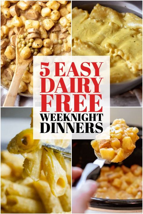 No Meat Or Dairy Meals, Dinners Without Dairy, Dairy Alternative Recipes, Lactose Free Recipes Dinner Easy, Dairy Free Dinners For Family, Dairyfree Dinner Recipes, Dairy Free Dinners Easy, Dinner Ideas No Dairy, Simple Dairy Free Meals