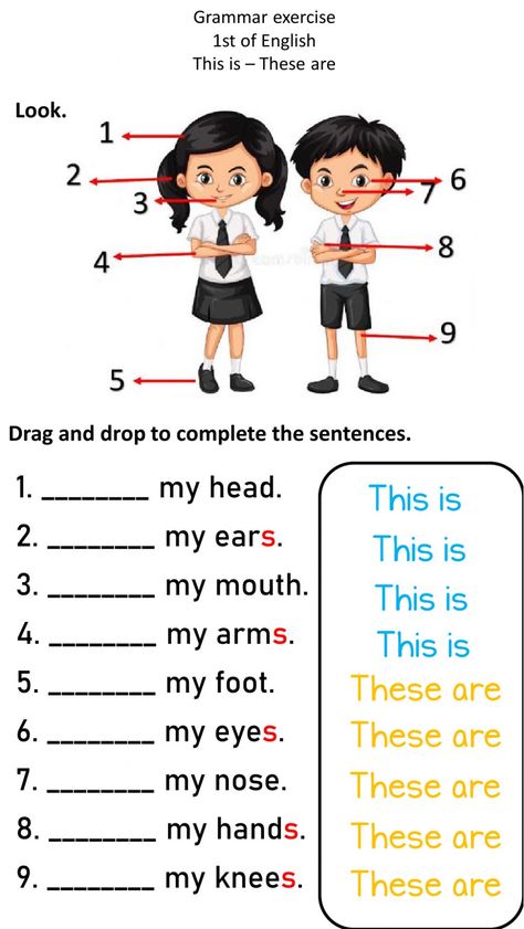 Is And Are Grammar, 1st Class Worksheets, This Is And These Are Worksheets, This Or These, This And These Worksheets, Learning English For Kids Teaching, 1st Class English Worksheet, This Is These Are Worksheet, Is And Are Worksheets