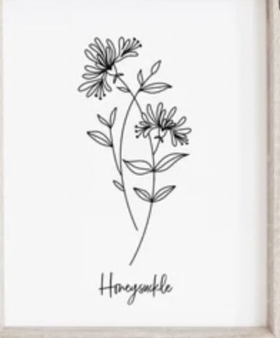 Honeysuckle Drawing Tattoo, Minimalist Honeysuckle Tattoo, Honeysuckle Tattoo Small, Honey Suckle Tattoo Simple, Honeysuckle Flower Tattoo, Honeysuckle Tattoo Design, Honeysuckle Tattoo Simple, Honeysuckle Tattoo, Bestie Tattoo