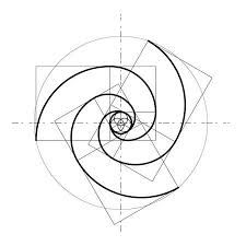 Golden Ratio Tattoo, Golden Ratio Spiral, Fibonacci Art, Golden Ratio In Design, Golden Proportion, Golden Ratio Logo, Fibonacci Tattoo, Divine Proportion, Golden Spiral