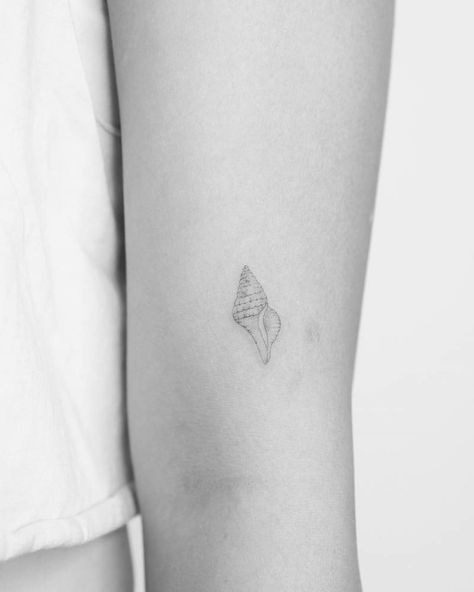 Single needle tulip shell tattoo located on the upper Sims 4 Small Tattoos, Sea Shell Tattoos For Women, Small Shell Tattoo, Tattoo Seashell, Tattoo Shell, Sea Shell Tattoo, Sea Tattoos, Small Turtle Tattoo, Seashell Tattoo