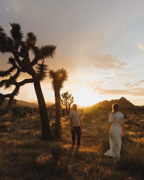 Chased the sun all the way to this valley of Joshua Trees just in time to catch the most beautiful golden hour and sunset I’ve ever seen 🌞✨ Want to adventure to Joshua Tree with me? I’d love to show you all of my favorite spots and document your story, reach out now to book for 2024 + 2025! 💫 Keywords: Joshua Tree engagement session, Joshua tree elopement, Palm Springs wedding, Palm desert wedding, desert engagement photos, western inspired, cowgirl boots, Palm desert, Joshua tree national ... Water Person, Desert Tones, Desert Engagement Photos, Joshua Tree Engagement, Wedding Desert, Joshua Tree Elopement, Joshua Tree Wedding, Mountain Forest, Chasing The Sun