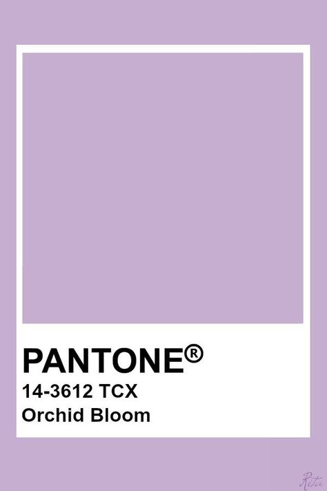 Pantone Tcx, Color Of The Year 2022, Pantone Color Chart, Pantone Swatches, Colour Trend, Pantone Palette, Pantone Colour Palettes, Color Forecasting, Orchid Color