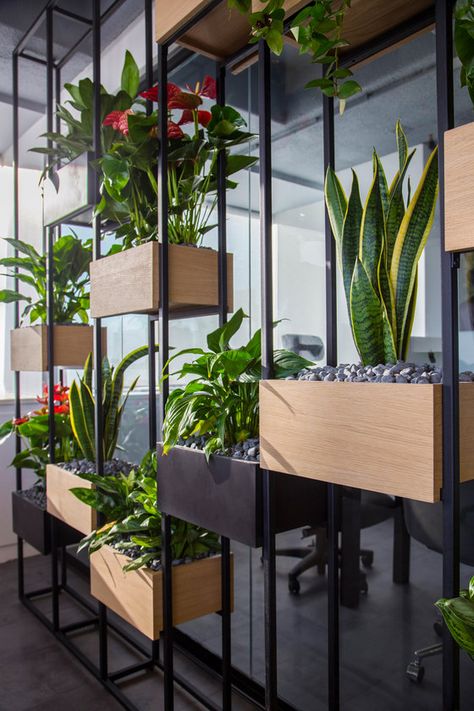 Office Planting Ideas, Freestanding Plant Wall, Planter Partition, Plant Partition, Cubicle Privacy Ideas, Plant Office Design, Plant Office Decor, Klein Balkon Decor, White Walls Living Room