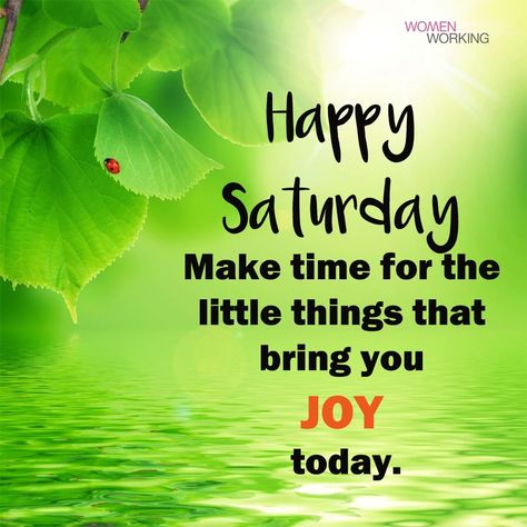 Happy Saturday All! I wish you all a good rest and Sunny mood, harmony in the soul and many wonderful moments. Life is moments and details, live them beautifully! ‍♀️ Saturday Quotes Funny, Saturday Morning Quotes, Happy Saturday Quotes, Happy Saturday Morning, Happy Saturday Images, Saturday Images, Good Morning Happy Saturday, Saturday Quotes, Good Morning Saturday