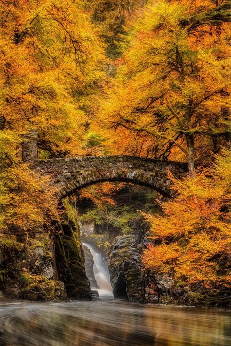 Autumn at the Hermitage, Dunkeld, Scotland Fall In Scotland, Nature Clips, Autumn Poetry, Gods Masterpiece, Scotland Aesthetic, Countryside Aesthetic, Magical Autumn, Autumn Witch, Harvest Blessings