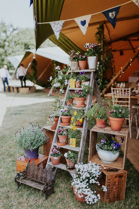 Marquee Wedding Decoration, Tipi Wedding Decor, Ladder Wedding, Farm Wedding Decorations, Marquee Decoration, Wildflower Wedding Theme, Wedding Plants, Diy Wedding Table, Deco Champetre