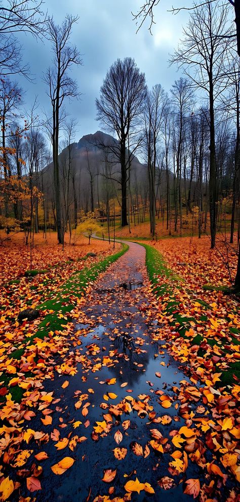 Autumn In Scotland, Autumn Phone Wallpaper, Autumn Magic, New England Fall, Pretty Landscapes, Autumn Scenes, Beautiful Places Nature, Autumn Scenery, Beautiful Landscape Wallpaper