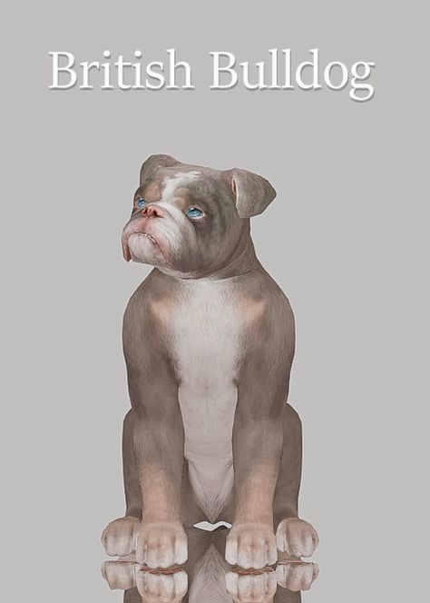 British Bulldog | Pet dump | Patreon Sims 4 Pets Mod, Sims Pets, Youtube Cover, Sims 4 Tsr, Sims 4 Traits, Sims 4 Cas Mods, Sims 4 Family, Free Sims 4, The Sims 4 Packs