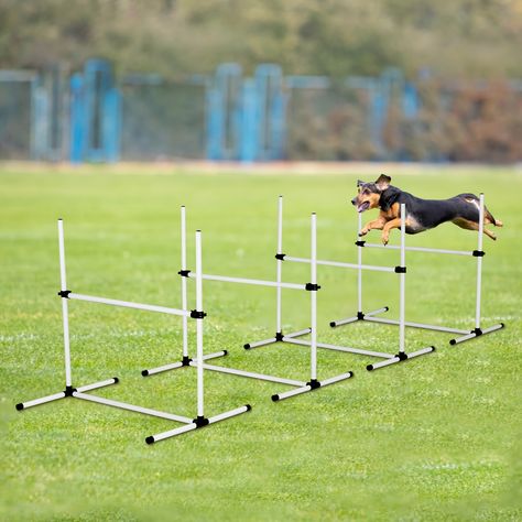 Faster shipping. Better service Ugly Dog Breeds, Obstacle Course Games, Dog Agility Course, Dog Jumping, Agility Training For Dogs, Ugly Dogs, Pet Doors, Training Kit, Agility Training