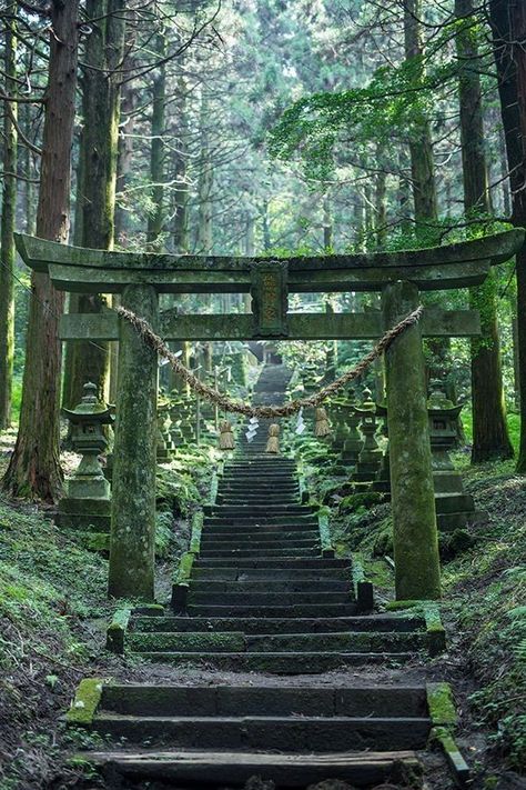 Places To Visit In Japan High Resolution Landscape Photography, Landscape Ideas Front Yard Curb Appeal, 숲 사진, Takachiho, Japan Temple, Japan Landscape, Torii Gate, Japan Photography, Kumamoto