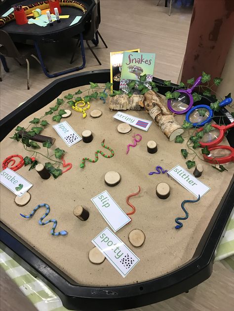 Desert Tuff Tray Ideas, Desert Tuff Tray, Snake Preschool, Meerkat Mail, Animals Eyfs, Reptiles Activities, Dessert Animals, Animal Lessons, Tuff Spot