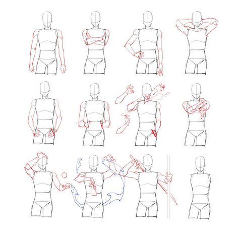 Use these helpful drawing references to draw people in different positions Arm Anatomy, Arm Drawing, Drawing Body Poses, Anatomy Tutorial, Body Drawing Tutorial, Anatomy Poses, Body Reference Drawing, Anatomy Drawing, Figure Drawing Reference