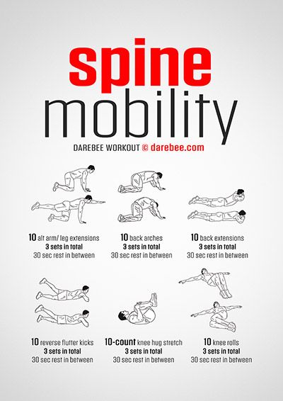 Darebee Workout, Wrestling Workout, Spine Mobility, Mobility Workout, Spinal Column, Full Body Workout Routine, Body Workout Plan, Workout Chart, Free Workouts