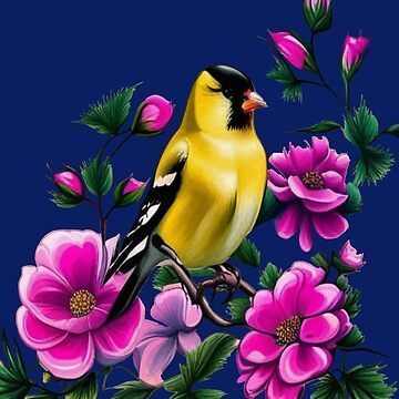 #SummerDress @Redbubble Goldfinch Surrounded By Pink Wild Roses Iowa State Tattoo Art Digital Art by #Taiche #iowastate #Iowa #davenport #IowaCity #SiouxCity #ankeny #waterloo #WestDesMoines #cedarrapids #ames #visittheusa #AdultApparel #KidsApparel #HomeGoods #Cases #Stickers #NewDesign Aline Dresses, State Tattoos, Star Sand, Sioux City, State Birds, Iowa City, Art Digital Art, Goldfinch, Iowa State