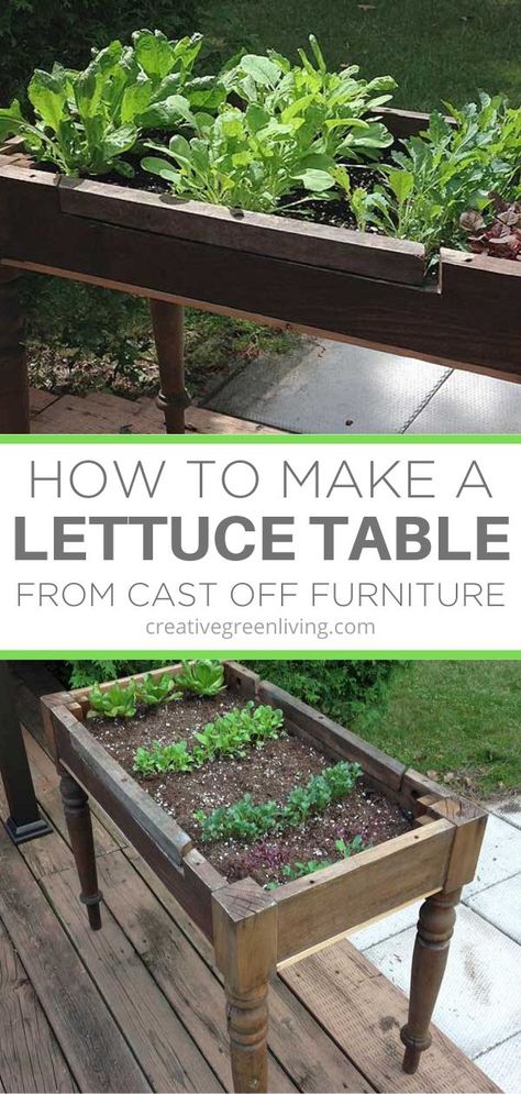 Lettuce Table, Lettuce Garden, Diy Garden Landscaping, Growing Lettuce, Fleurs Diy, Diy Raised Garden, Raised Garden Beds Diy, Garden Junk, Meteor Garden 2018