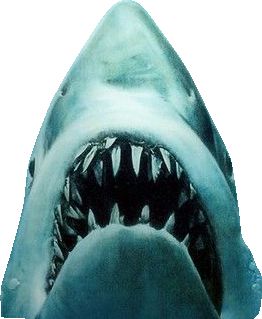 Review Film, Jaws Movie, Shark Jaws, Flower Icons, Bigger Boat, White Sharks, Farm Heroes, Great White Shark, Movie Review