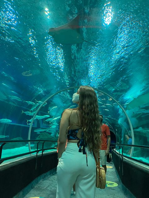 Aquarium Instagram Pictures, Valencia Photo Ideas, Rio De Janeiro Photo Ideas, Aquarium Outfit Ideas, Aquarium Outfit, Zoo Aesthetic, Vienna Zoo, Aquarium Aesthetic, Zoo Outfit