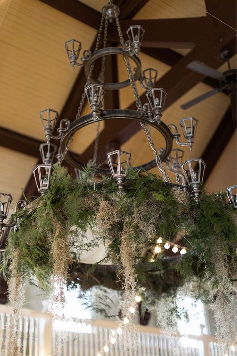 Spanish moss on chandelier at wedding reception Spanish Moss Wedding, Moss Wedding Decor, Moss Wedding, Hanging Greenery, Wedding Arbors, Southern Elegance, Wedding Chandelier, Spanish Moss, Floral Arrangements Wedding