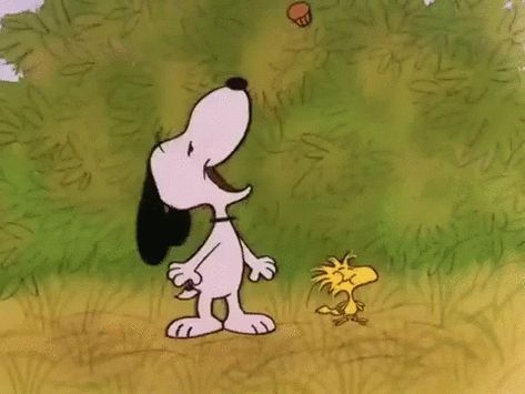 Snoopy Estoy GIF - Snoopy Estoy Woodstock - Discover & Share GIFs Snoopy Gifs, Gifs Snoopy, Snoopy Videos, Woodstock Snoopy, Eating Chocolate, Snoopy Funny, Snoopy Images, Peanuts Cartoon, Peanuts Characters