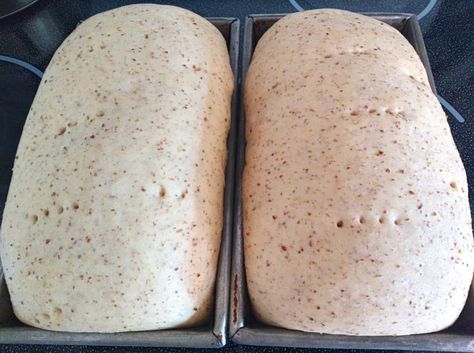 Amish Heritage Recipes, Amish Whole Wheat Bread Recipe, Cracked Wheat Bread Recipe, Wheat Berry Bread Recipe, Honey Wheat Bread Recipe, Cake Mix Recipes Homemade, Amish Bread Recipes, Multigrain Bread Recipe, Amish Bakery