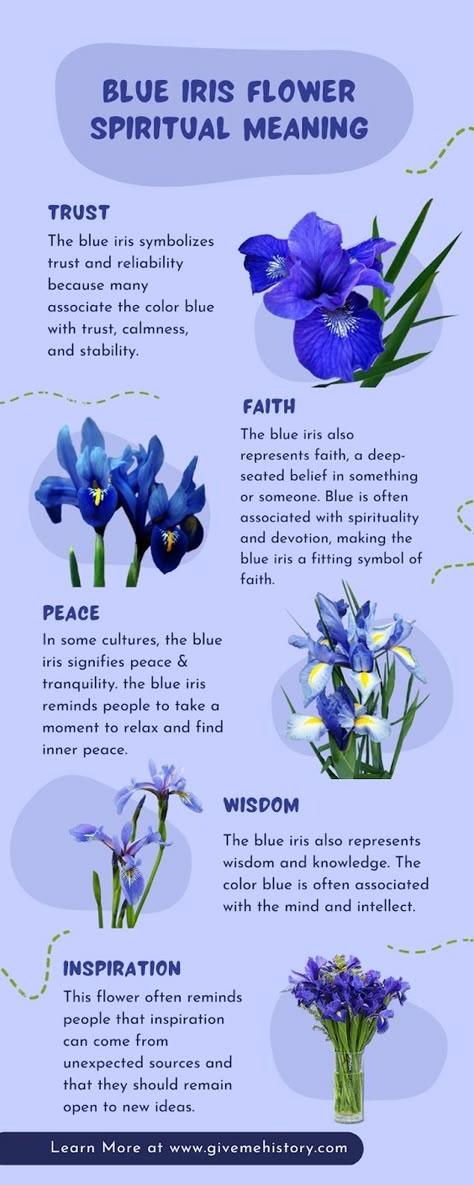 Blue Flowers Meaning, Iris Flower Meaning, Iris Symbolism, Iris Flowers Aesthetic, Flower Meanings Chart, Blue Flower Names, Flowers And Meanings, Flower And Herb Garden, Iris Meaning