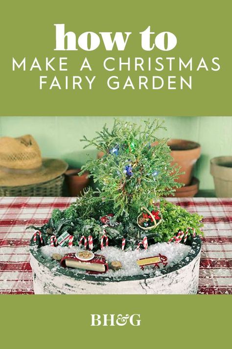 Christmas Fairy Garden Holiday, Christmas Fairy Garden Diy, Winter Fairy Garden Christmas, Fairy Garden Christmas, Miniature Fairy Garden Diy, Miniature Garden Diy, Winter Fairy Garden, Miniature Garden Plants, Christmas Fairy Garden