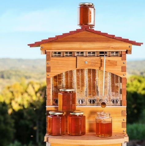 Fun Kitchen Gadgets, Bee Project, Flow Hive, Bee Farming, Mountain Estate, Beehive Design, Awesome Things To Buy, Beekeeping For Beginners, Bees And Honey