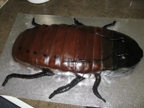 This cockroach. | 26 Disturbing Cakes That Should Burn In Hell Cockroach Cake, Goofy Cake, Cake Disasters, Scary Cakes, Ugly Cakes, Weird Design, Funny Birthday Cakes, Halloween Cakes, Savoury Cake