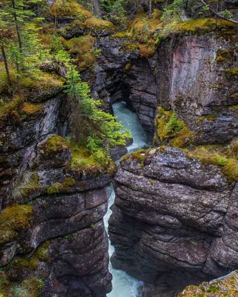 13 Things to KNOW Before Visiting Maligne Canyon in Jasper Maligne Canyon, Summer Hike, Jasper National Park, Us Destinations, America And Canada, Canadian Rockies, In The Winter, Things To Know, How Beautiful