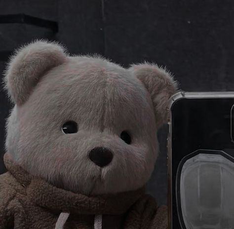 Cute Bear Profile Pic, Teddy Bear Dp, Bear Pfp, Aesthetic Bear, Alt Boys, Couples Hidden Face Pics, Instagram Animation, White Teddy Bear, Brown Teddy Bear