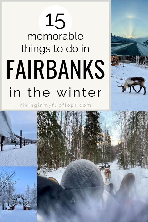 Fairbanks Alaska In January, Northern Lights Fairbanks Alaska, Fairbanks Alaska Things To Do In, Fairbanks Alaska Winter, Winter Aurora Borealis, Alaska Packing List, Alaska Fairbanks, Alaska Aurora, Winter Family Vacations