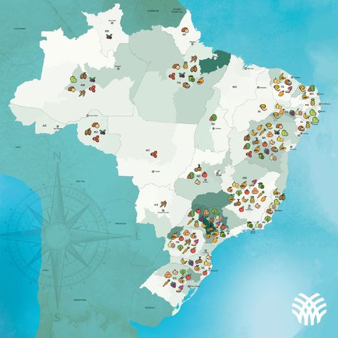 Brazilian fruit farming: diversity and sustainability to feed Brazil and the world | Brazilian Farmers Fruit Farming, Brazilian Fruit, Rainforest Biome, Orange Farm, Living In Brazil, Crop Production, Variety Of Fruits, Tropical Fruits, Bananas