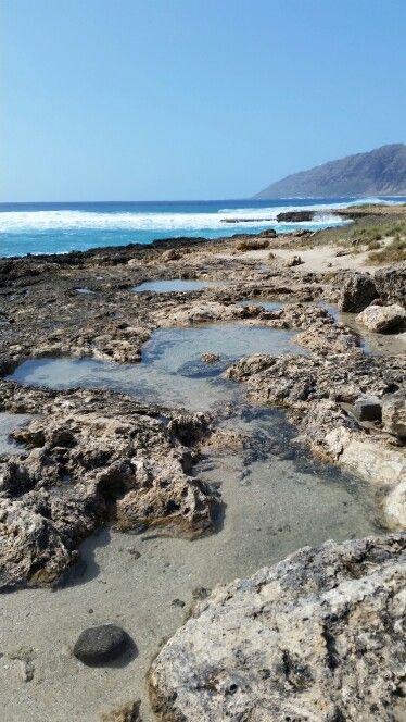 Background Elements, Tidal Pool, Tide Pool, Time And Tide, Tide Pools, Rock Pools, Warrior Cat, Vacation Ideas, Aspen