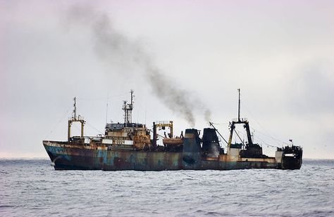 The Russian fishing trawler Sergey Makarevich in the North Atlantic. Boats Painting, Fishing Trawler, Trawler Boats, Boat Painting, Sailing Ships, Painting Ideas, Boats, Russia, Fishing