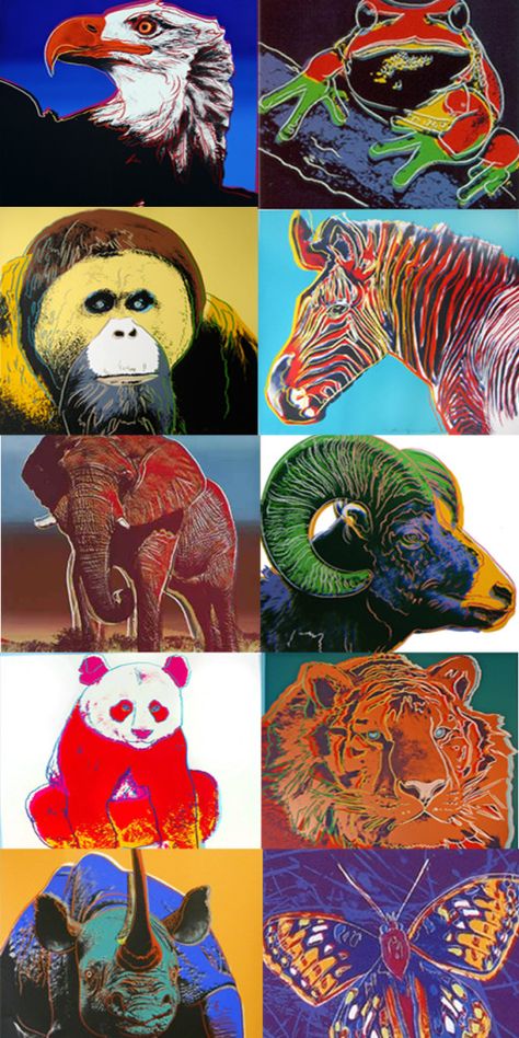 Andy Warhol's Endangered Species Portfolio | ROBIN RILE FINE ART Species Poster, Species Design, Endangered Species Art, Warhol Pop Art, Animals Graphic, James Rosenquist, Andy Warhol Pop Art, Animals Poster, Andy Warhol Art