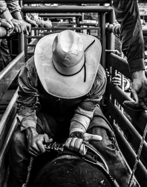 Rhett Eaton, Chestnut Springs Series, Cowboy Photography, Chestnut Springs, Elsie Silver, Country Backgrounds, Cowboy Romance, Rodeo Cowboys, Cowboy Aesthetic