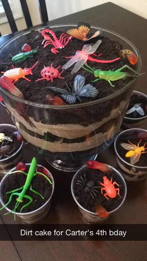 Old As Dirt Party Ideas, Dirt Birthday Party, Waldorf Birthday Party, Bug Themed Birthday Party, Beetlejuice Birthday, Bug Birthday Cakes, Beetlejuice Party, Dinasour Birthday, Bug Birthday Party