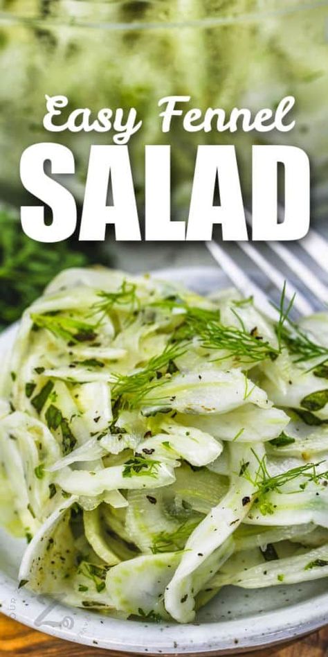 Fennel Bulb Salad, Cooking With Fennel Bulb, Fennel Salad Dressing, Fennel Cucumber Salad, Salads Recipes With Fennel, Fennel Slaw Recipes, How To Cook Fennel Bulb, Recipes Using Fresh Fennel, Fennel Leaves Uses