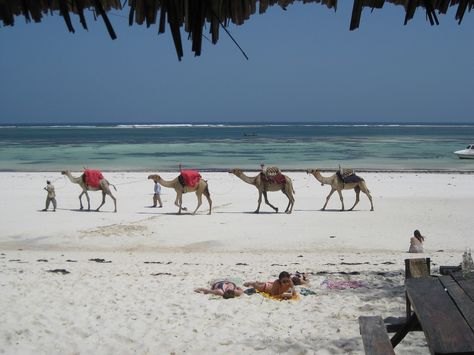 Mombasa Beach, Diani Beach, Masai Mara National Reserve, Mombasa Kenya, Kenya Travel, Kenya Safari, Mombasa, East Africa, Africa Travel