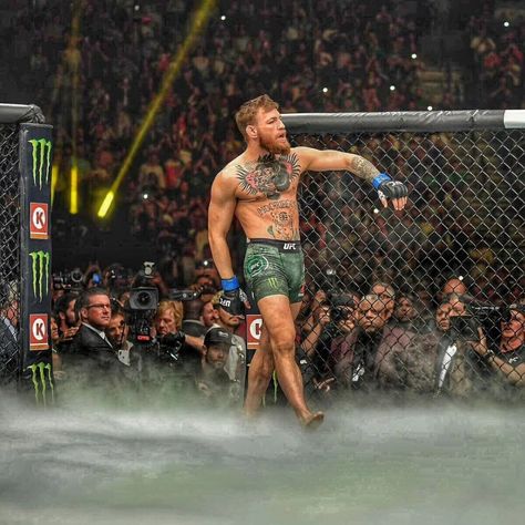 Coner Megrager, Connor Mcgregor Wallpaper, Conor Mcgregor Aesthetic, Corner Mcgregor, Conor Macgregor, Ufc Wallpaper, Conor Mcgregor Wallpaper, Martial Arts Tattoos, Mcgregor Wallpapers