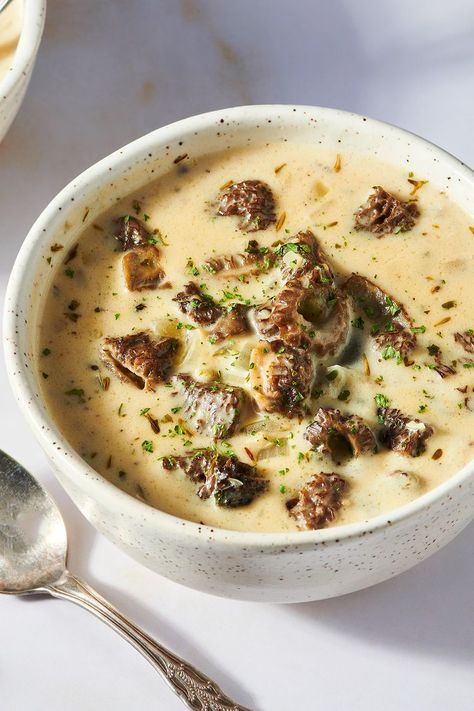 Morel Mushroom Soup Morel Mushroom Recipes, Chicken Soup Base, Moscato Wine, Mushroom Spores, Morel Mushrooms, Creamy Mushroom Soup, Bisque Recipe, Mushroom Soup Recipes, Pureed Soup