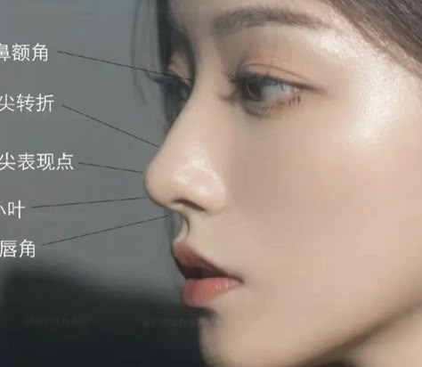 High Nose Bridge Side Profile, S Line Nose, Low Nose Bridge Side Profile, Korean Nose Job, High Bridge Nose, Nose References, Korean Nose, Side View Of Face, Face Symmetry