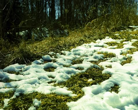 Melting Snow Aesthetic, Snow Melting Aesthetic, Images Of Snow, Manfrotto Tripod, Snow Melt, Mamiya Rb67, Snow Texture, Melting Snow, Photography Inspiration Nature