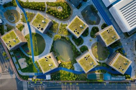 Open Architecture completes Shanghai Qingpu Pinghe International School Campus Landscape Design, Urban Project, Village School, Campus Design, Open Architecture, Green School, Architecture Concept Diagram, School Campus, Student House