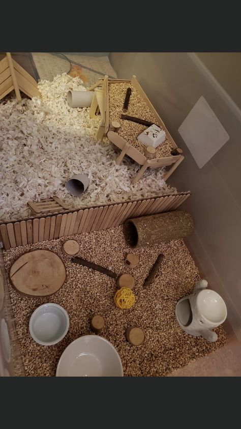 Hamster Play Pen, Popsicle Stick Hamster Stuff, Hamster Enrichment, Hampster Cage, Diy Hamster Cage, Diy Hamster House, Kandang Hamster, Diy Hamster Toys, Indoor Guinea Pig Cage